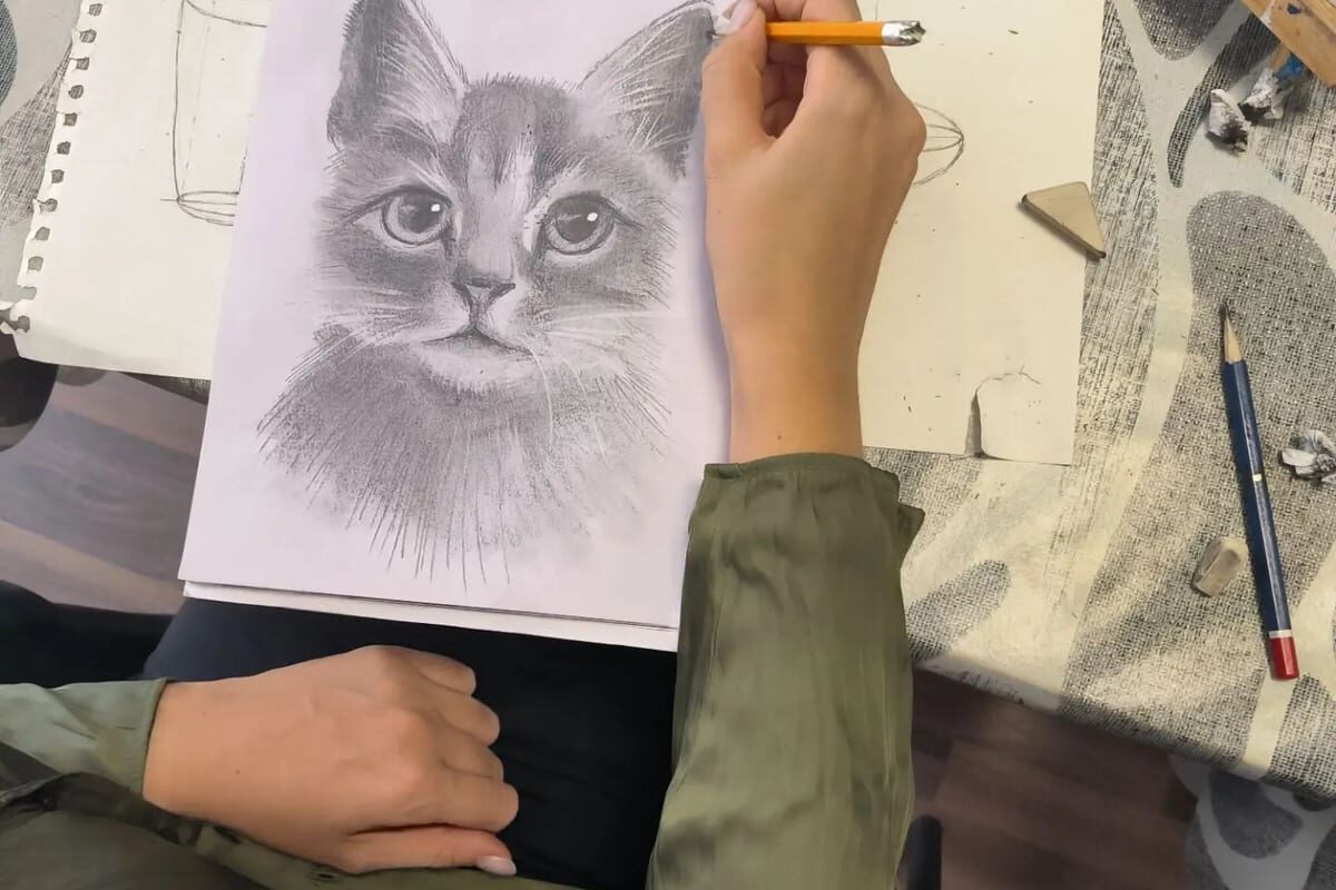 Рука рисует портрет кота простым карандашом в альбоме